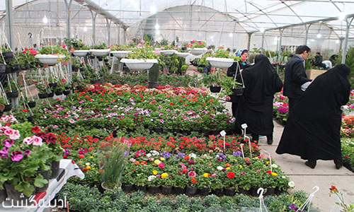 بازار گل و گیاه همدانیان