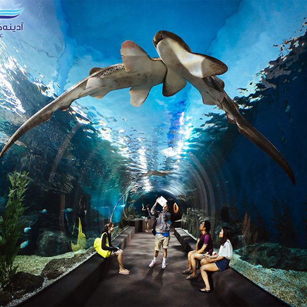 Aquarium and Underwater World1