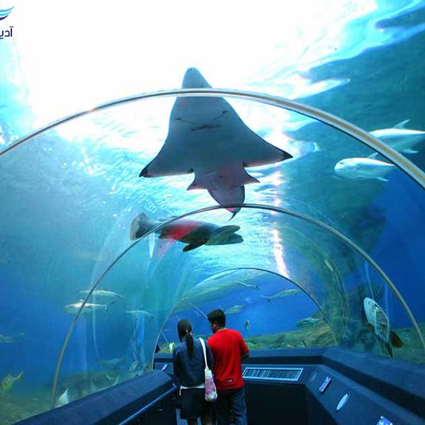 Aquarium and Underwater World2