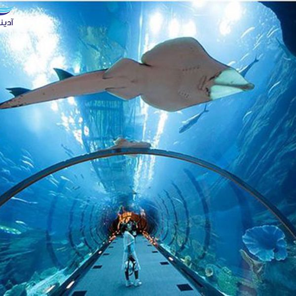 Phuket Aquarium1