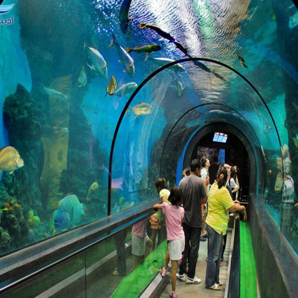Phuket Aquarium2
